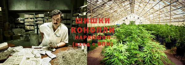 шишки Володарск