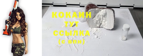 шишки Володарск